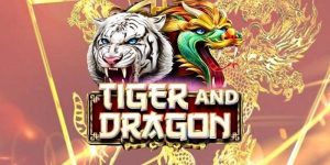 คำศัพท์ที่สำคัญใน Dragon Tiger UFAC4